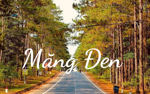 Tour Du Lịch Tây Nguyên: Buôn Ma Thuột - Buôn Đôn - Pleiku - Kontum - Măng Đen