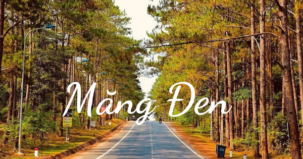 Tour Du Lịch Tây Nguyên: Buôn Ma Thuột - Buôn Đôn - Pleiku - Kontum - Măng Đen